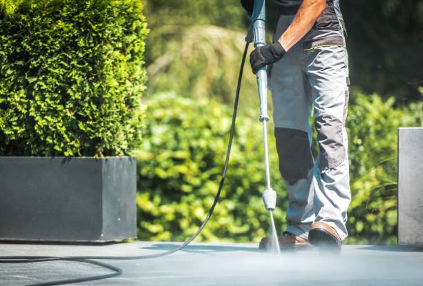 Best Roof Washing  in Homewood, SC